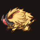 Boar